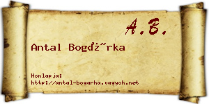 Antal Bogárka névjegykártya